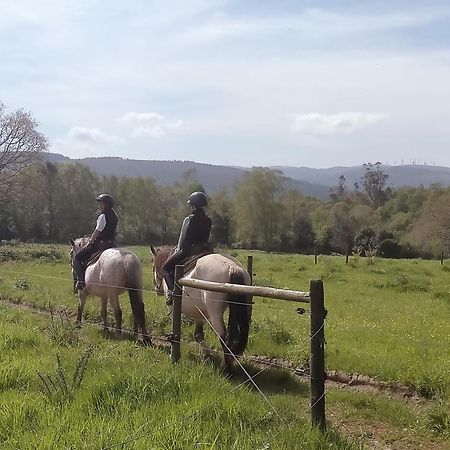 Granja Labrada: Alojamiento Con Caballos Manon 外观 照片