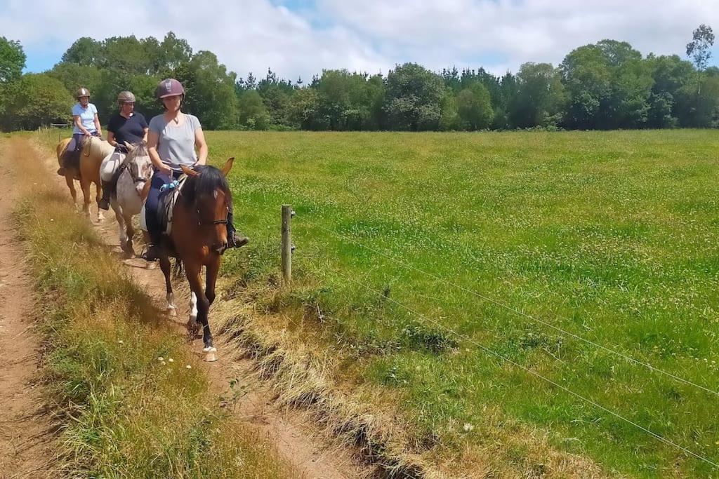 Granja Labrada: Alojamiento Con Caballos Manon 外观 照片