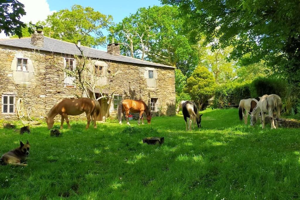 Granja Labrada: Alojamiento Con Caballos Manon 外观 照片