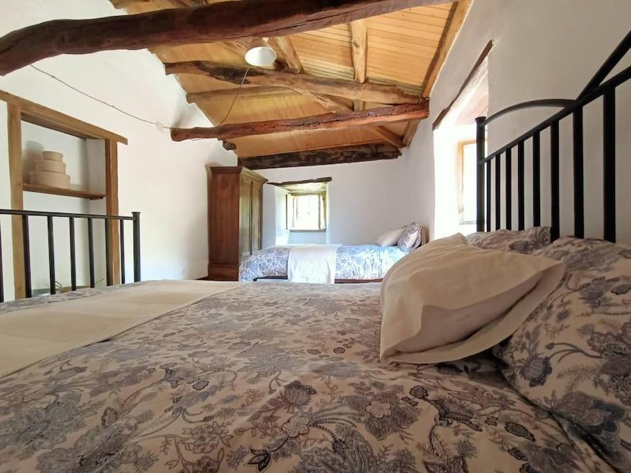Granja Labrada: Alojamiento Con Caballos Manon 外观 照片