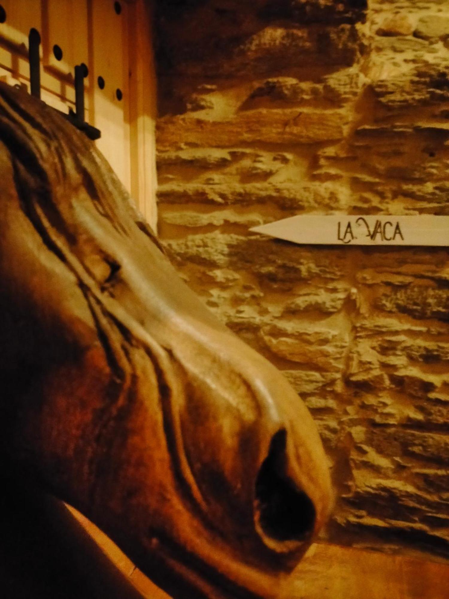 Granja Labrada: Alojamiento Con Caballos Manon 外观 照片