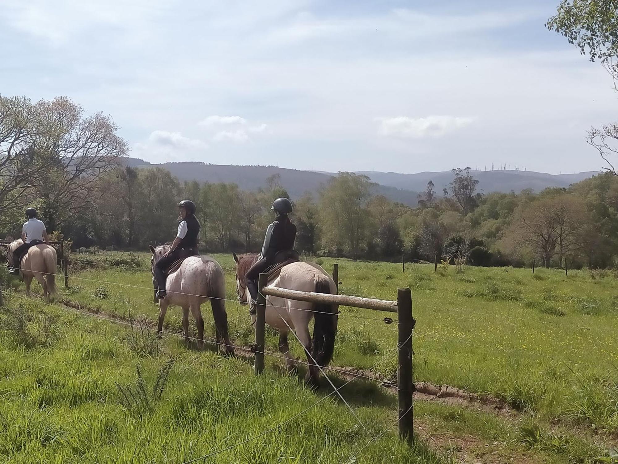 Granja Labrada: Alojamiento Con Caballos Manon 外观 照片