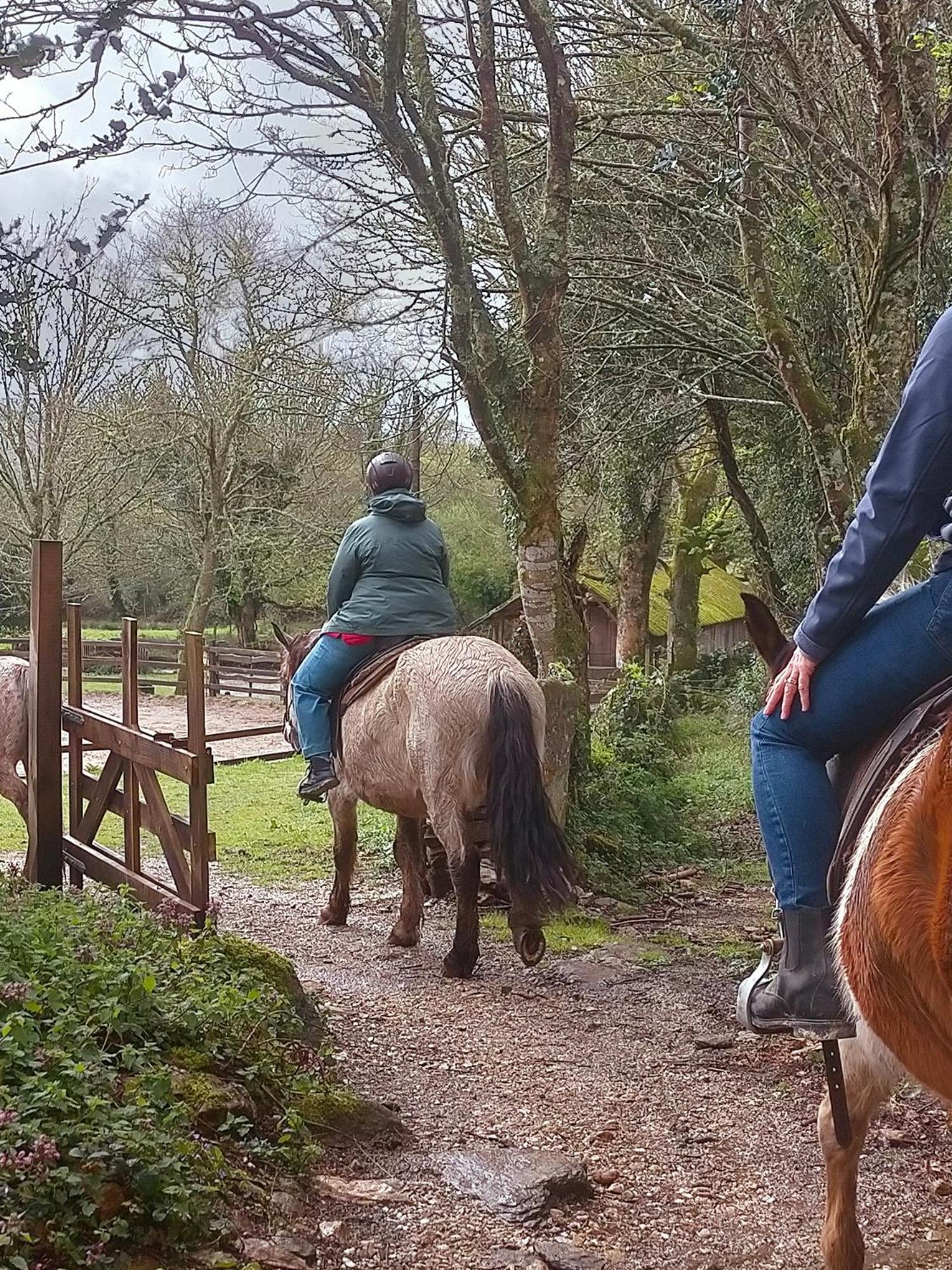 Granja Labrada: Alojamiento Con Caballos Manon 外观 照片